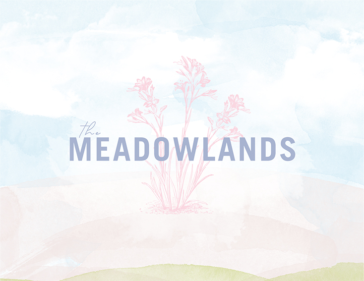The Meadowlands written in script overtop of a watercolour painting of flowers.